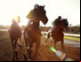 Letter - Bob Rothman – Horse Racing Tips and best betting odds